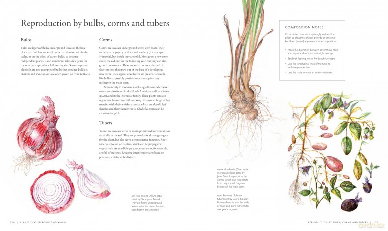 RHS Watercolour Botanical Art: A Practical Guide for Artists - Sarah Howard [KSIĄŻKA]