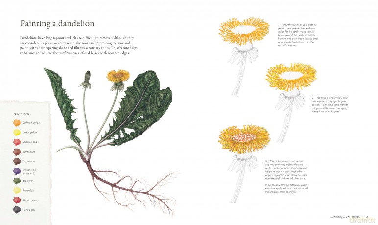RHS Watercolour Botanical Art: A Practical Guide for Artists - Sarah Howard [KSIĄŻKA]
