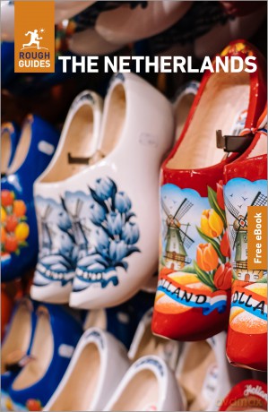 Rough Guides The Netherlands: Travel Guide with eBook (Rough Guides Main Series) - Gavin Haines [KSIĄŻKA]