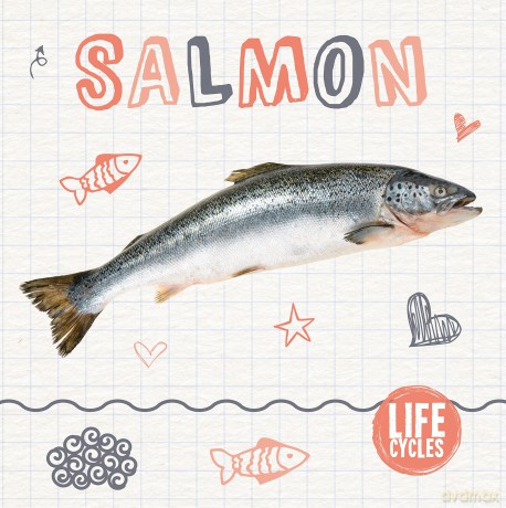 Salmon (Life Cycles) - Holly Duhig [KSIĄŻKA]