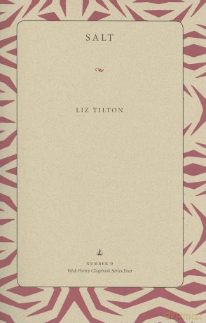 Salt (Wick Poetry Chapbook Series Four): 6 [KSIĄŻKA]