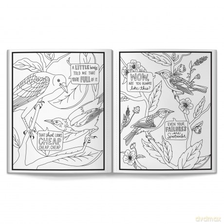 Salty Birds Coloring Book - Brass Monkey [KSIĄŻKA]