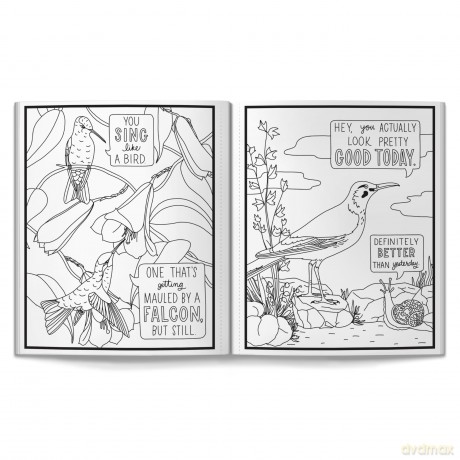 Salty Birds Coloring Book - Brass Monkey [KSIĄŻKA]