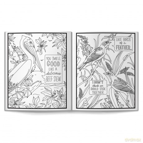 Salty Birds Coloring Book - Brass Monkey [KSIĄŻKA]