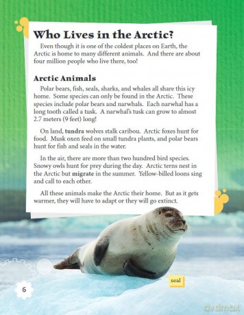 Saving the Arctic (Smithsonian: Informational Text) - Serena Haines [KSIĄŻKA]