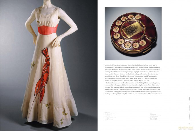 Schiaparelli: Fashion Becomes Art (the Official V&A Exhibition Book) - Sonnet(Ed) Stanfill [KSIĄŻKA]