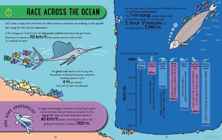 Sea Life (Animal Stats) - Simon Abbott [KSIĄŻKA]
