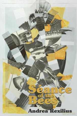 Séance of the Bees - Andrea Rexilius [KSIĄŻKA]