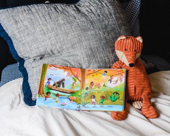 See What God Made!: A Creation Story Lift-the-Flap Book - Bostrom Kathleen [KSIĄŻKA]