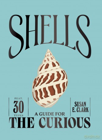 Shells (A Guide For the Curious) - Susan Clark [KSIĄŻKA]