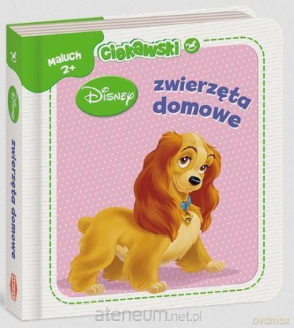 Ciekawski maluch. Zwierzęta domowe [KSIĄŻKA]