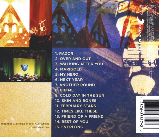 Foo Fighters: Skin And Bones [CD]