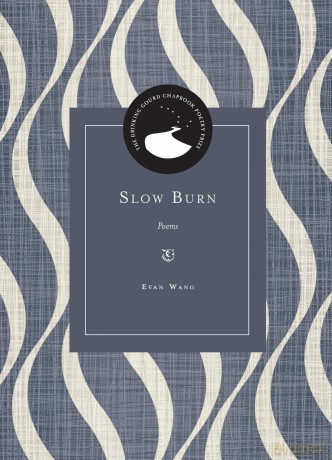 Slow Burn: Poems (Drinking Gourd Chapbook Poetry Prize) [KSIĄŻKA]