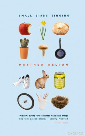 Small Birds Singing - Matthew Welton [KSIĄŻKA]
