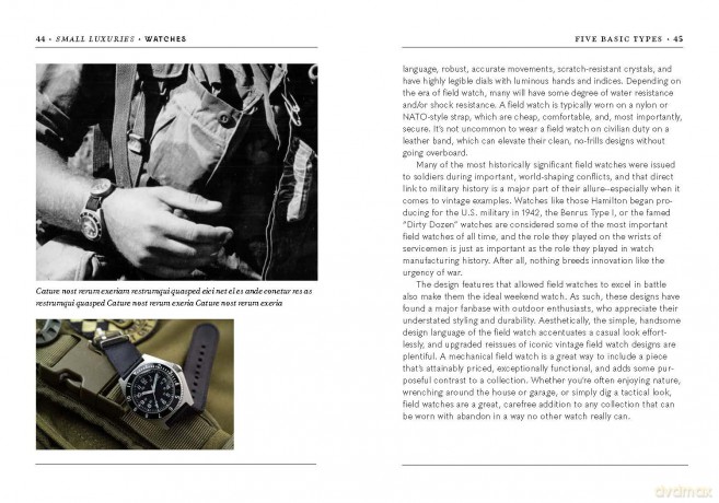 Small Luxuries: Watches - David Von Bader [KSIĄŻKA]