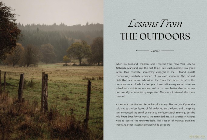 Small Wonders: A Field Guide to Life's Quiet Joys - Jennifer Shoop [KSIĄŻKA]