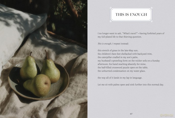 Small Wonders: A Field Guide to Life's Quiet Joys - Jennifer Shoop [KSIĄŻKA]
