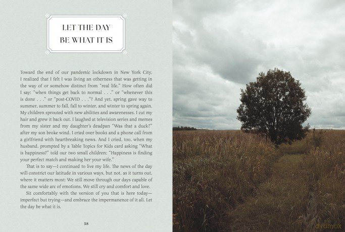 Small Wonders: A Field Guide to Life's Quiet Joys - Jennifer Shoop [KSIĄŻKA]