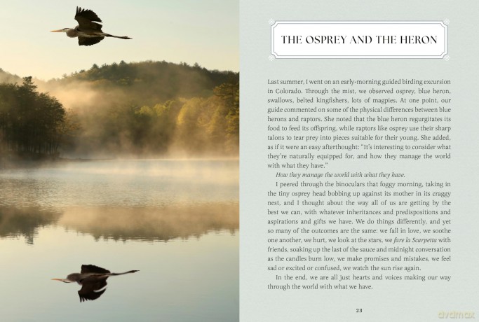 Small Wonders: A Field Guide to Life's Quiet Joys - Jennifer Shoop [KSIĄŻKA]