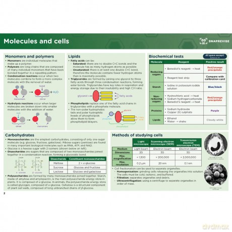 SnapRevise A-Level Biology Summary Notes - Snaprevise [KSIĄŻKA]