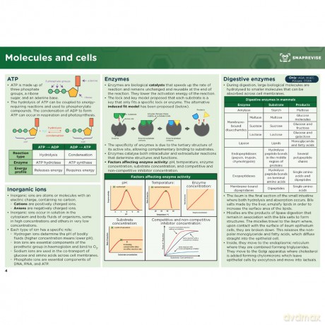 SnapRevise A-Level Biology Summary Notes - Snaprevise [KSIĄŻKA]
