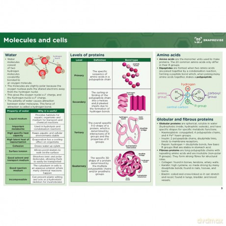 SnapRevise A-Level Biology Summary Notes - Snaprevise [KSIĄŻKA]