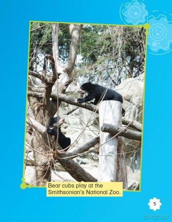 Solving Problems at the Zoo (Smithsonian: Informational Text) - Nellie Wilder [KSIĄŻKA]