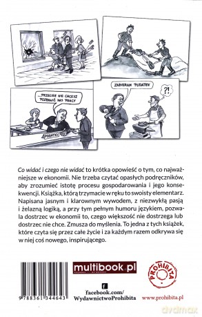 Co widać i czego nie widać [KSIĄŻKA]