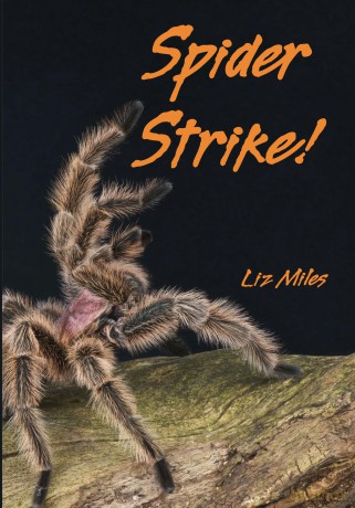 Spider Strike! (Fully Booked) - Liz Miles [KSIĄŻKA]