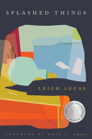 Splashed Things - Leigh Lucas [KSIĄŻKA]