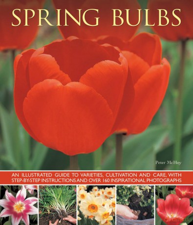 Spring Bulbs: An Illustrated Guide to Varieties, Cultivation and Care, with Step-by-step Instructions and Over 160 Inspirational Photographs - Peter Mchoy [KSIĄŻKA]