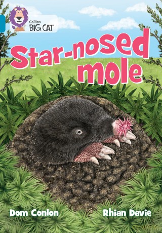 Star-nosed Mole: Band 13/Topaz (Collins Big Cat) [KSIĄŻKA]