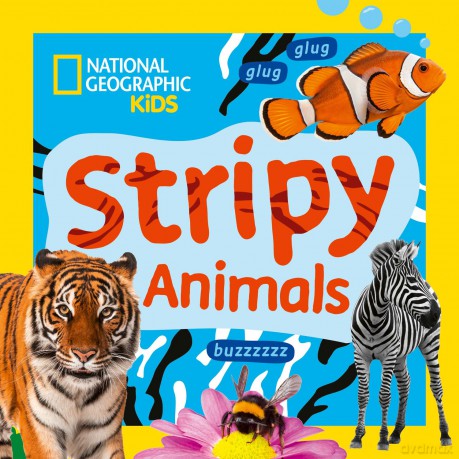 Stripy Animals: A fun first board book for toddlers to learn about animals (National Geographic Kids) [KSIĄŻKA]