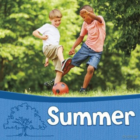 Summer (Seasons of the Year) - Karen Bischer [KSIĄŻKA]