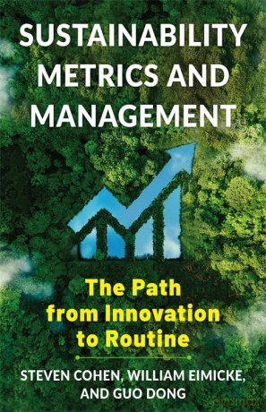 Sustainability Metrics and Management: The Path from Innovation to Routine - Steven Cohen [KSIĄŻKA]