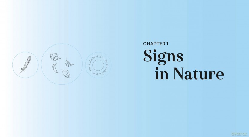 Synchronicities: Signs, symbols, and messages from the universe - Carly Pearce [KSIĄŻKA]