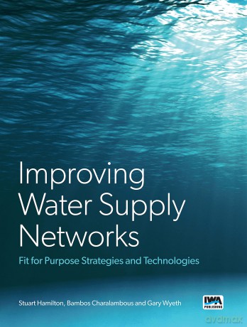 System Losses from Water Supply Networks: Fit for Purpose Strategies and Technologies - No Author Stated [KSIĄŻKA]