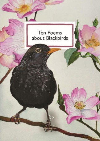 Ten Poems about Blackbirds - Di Slaney [KSIĄŻKA]