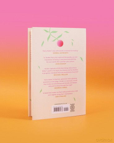 Tender: THE INSTANT SUNDAY TIMES BESTSELLER - Harry Baker [KSIĄŻKA]