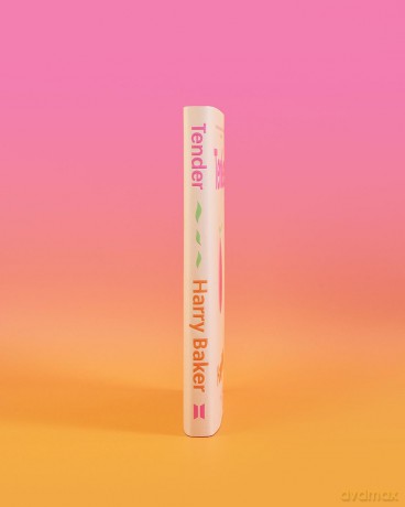 Tender: THE INSTANT SUNDAY TIMES BESTSELLER - Harry Baker [KSIĄŻKA]