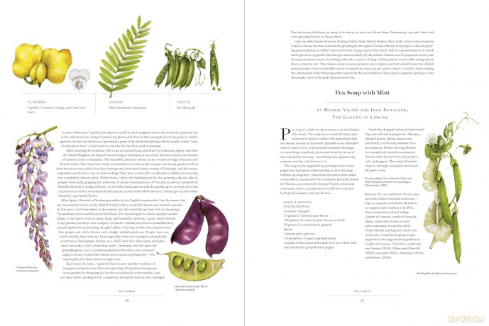 The Album of Plant Families: An Illustrated Exploration of Nature's Beauty and Bounty - Wendy Hollender [KSIĄŻKA]