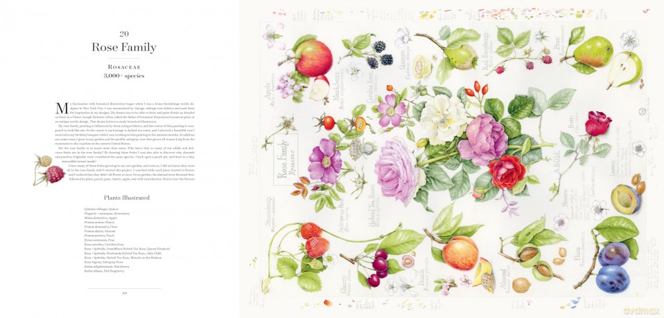 The Album of Plant Families: An Illustrated Exploration of Nature's Beauty and Bounty - Wendy Hollender [KSIĄŻKA]