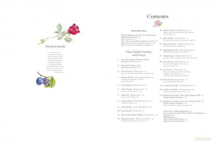 The Album of Plant Families: An Illustrated Exploration of Nature's Beauty and Bounty - Wendy Hollender [KSIĄŻKA]