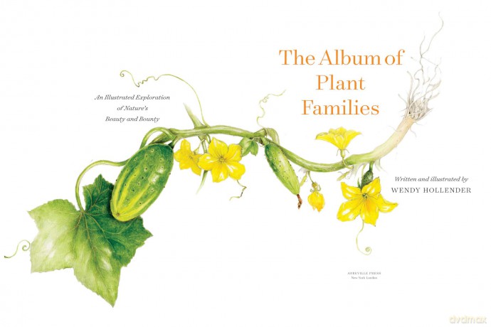 The Album of Plant Families: An Illustrated Exploration of Nature's Beauty and Bounty - Wendy Hollender [KSIĄŻKA]