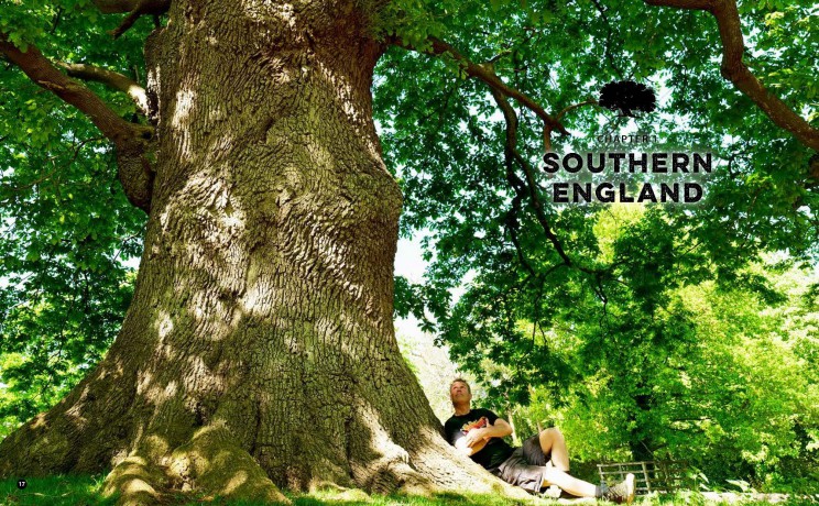 The Ancient Tree Explorer: Over 300 Heritage Trees and Forests in Britain (Travel Guide) - Julian Hight [KSIĄŻKA]