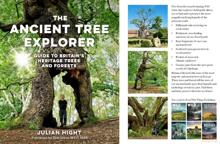 The Ancient Tree Explorer: Over 300 Heritage Trees and Forests in Britain (Travel Guide) - Julian Hight [KSIĄŻKA]