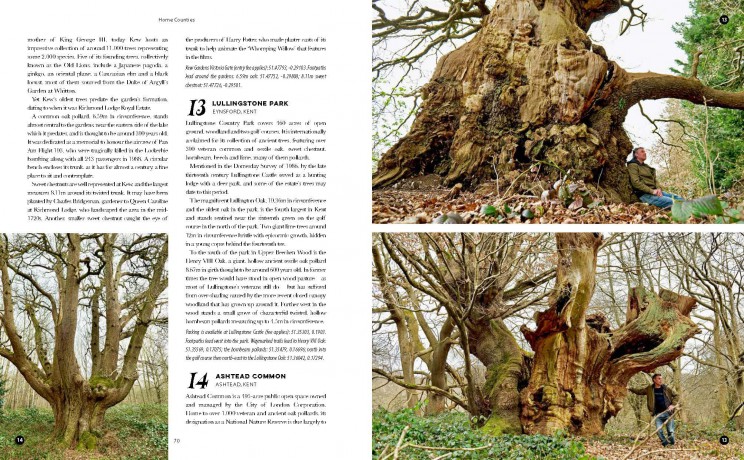The Ancient Tree Explorer: Over 300 Heritage Trees and Forests in Britain (Travel Guide) - Julian Hight [KSIĄŻKA]