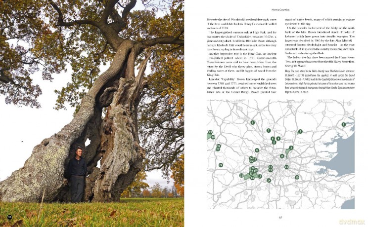 The Ancient Tree Explorer: Over 300 Heritage Trees and Forests in Britain (Travel Guide) - Julian Hight [KSIĄŻKA]