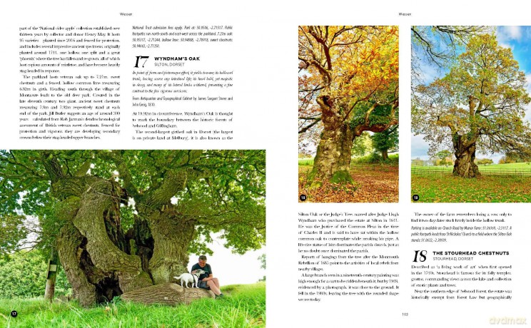 The Ancient Tree Explorer: Over 300 Heritage Trees and Forests in Britain (Travel Guide) - Julian Hight [KSIĄŻKA]