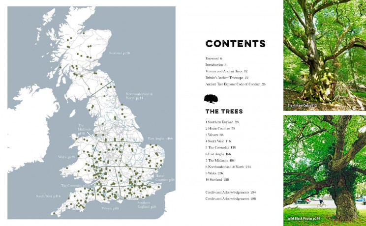 The Ancient Tree Explorer: Over 300 Heritage Trees and Forests in Britain (Travel Guide) - Julian Hight [KSIĄŻKA]